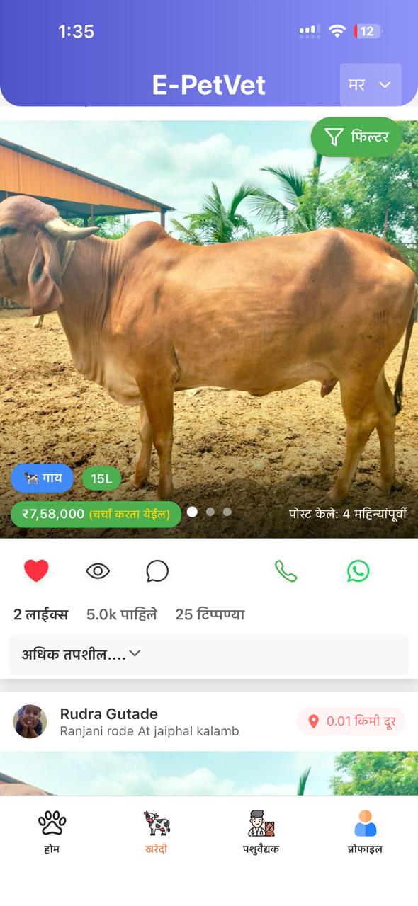 e-PetVet - Animal care